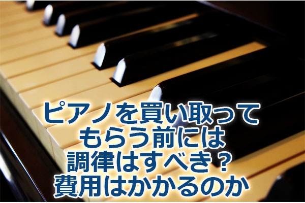 �s�A�m�𔃂�����Ă��炤�O�ɂ͒����͂��ׂ��H��p�͂�����̂�