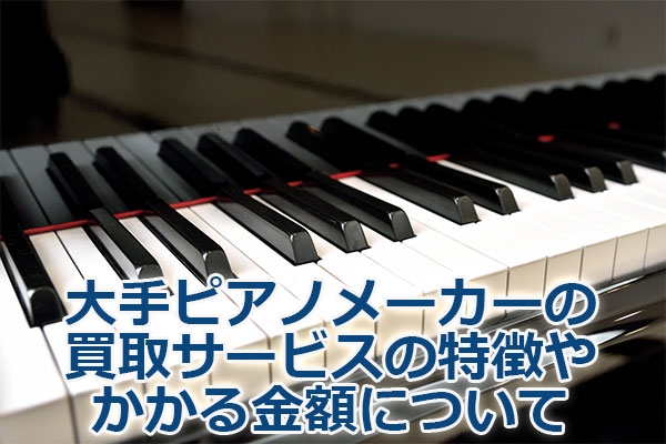 ���s�A�m���[�J�[�̔���T�[�r�X�̓����₩������z�ɂ���