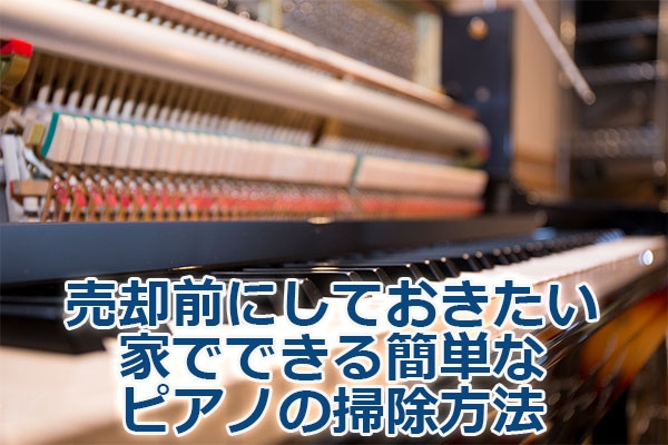 ���p�O�ɂ��Ă��������Ƃłł���ȒP�ȃs�A�m�̑|�����@